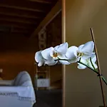 Oda ve Kahvaltı Le Blanc 3*