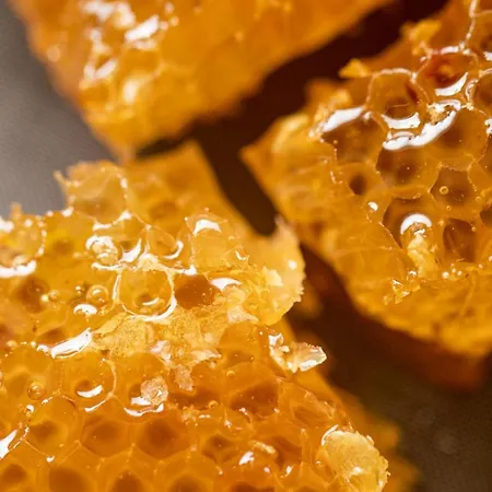 Le Blanc Versols-et-Lapeyre