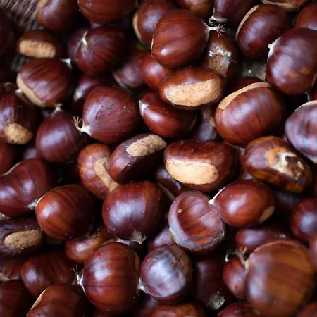 Nocleg ze śniadaniem Le Blanc