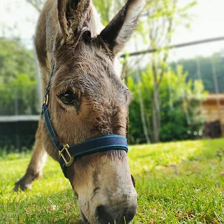 Nocleg ze śniadaniem Le Blanc Versols-et-Lapeyre
