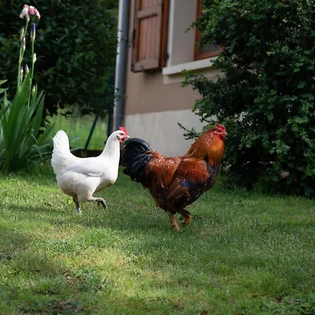 Le Blanc Nocleg ze śniadaniem
