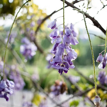 Le Blanc Nocleg ze śniadaniem