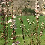Bed & Breakfast Le Blanc Versols-et-Lapeyre