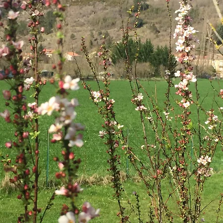 Bed & Breakfast Le Blanc Versols-et-Lapeyre