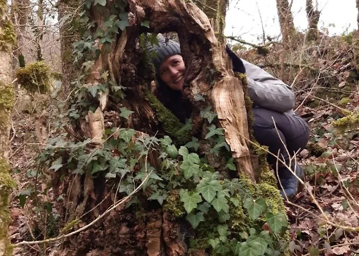 住宿加早餐酒店 Le Blanc Versols-et-Lapeyre