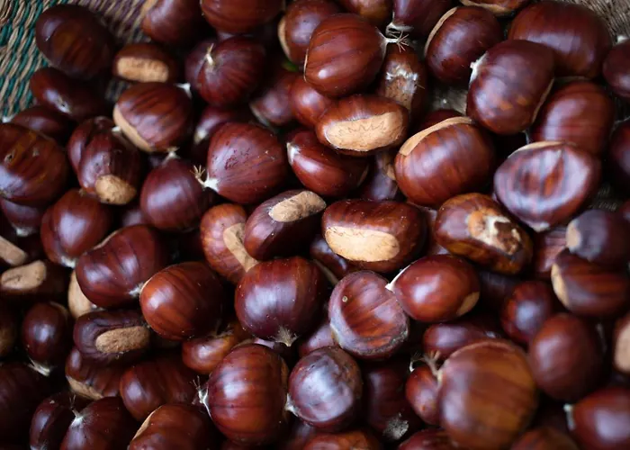 住宿加早餐酒店 Le Blanc