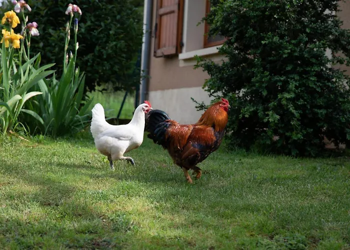 Le Blanc 住宿加早餐酒店