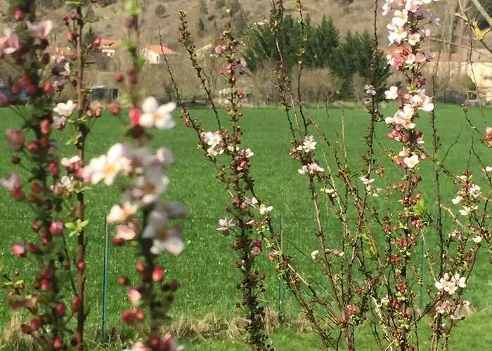 住宿加早餐酒店 Le Blanc Versols-et-Lapeyre