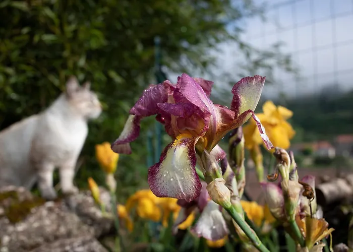 Le Blanc Versols-et-Lapeyre