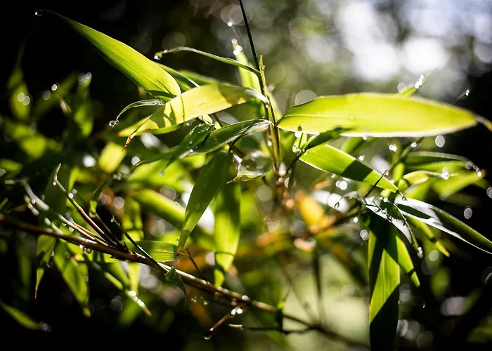 Le Blanc 3* Versols-et-Lapeyre