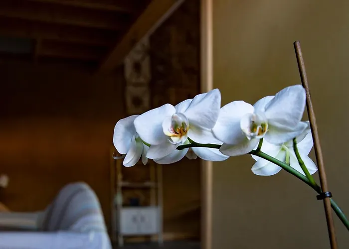 住宿加早餐酒店 Le Blanc 3*