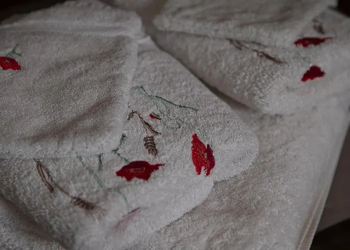 住宿加早餐酒店 Le Blanc 3*