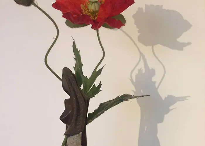 Le Blanc 住宿加早餐酒店